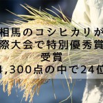 相馬市今田の米農家・佐藤徹広さんのコシヒカリが国際大会で特別優秀賞を受賞