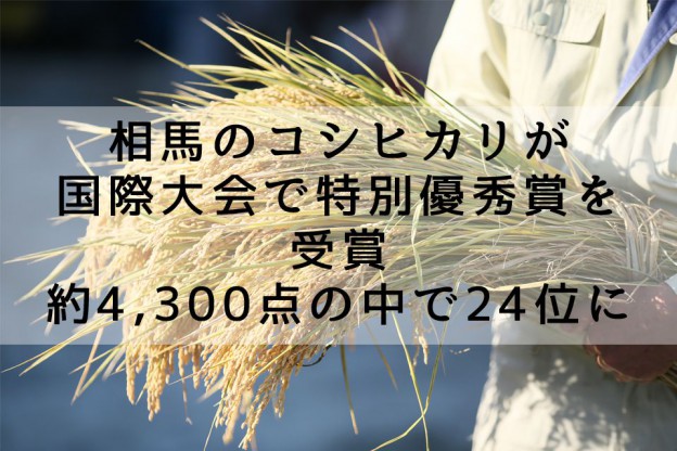 相馬市今田の米農家・佐藤徹広さんのコシヒカリが国際大会で特別優秀賞を受賞
