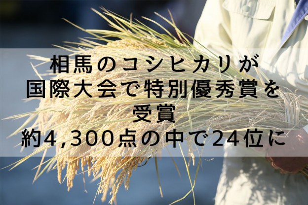 相馬市今田の米農家・佐藤徹広さんのコシヒカリが国際大会で特別優秀賞を受賞