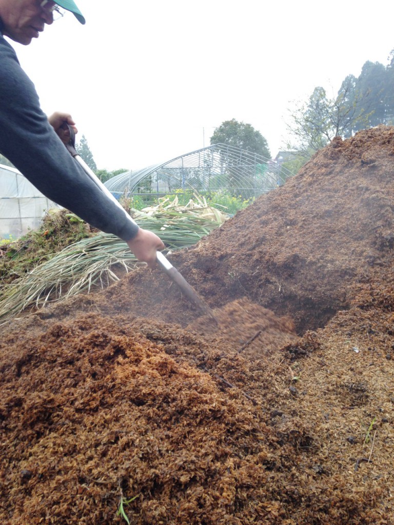 佐藤徹広さんの田植え。種もみの発芽のために、発酵の熱を利用している