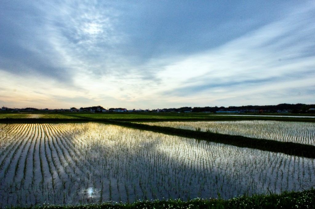 福島県相馬市の田園風景